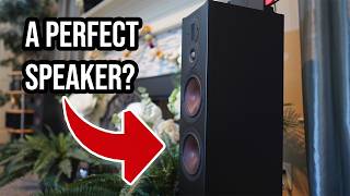 The Perfect Speaker NO ONE is Talking About [upl. by Eckardt265]