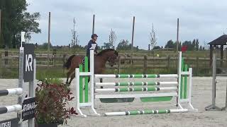 Thor 5yo gelding  training New Flandria Torhout [upl. by Drofiar]