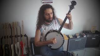 swallowtail jig banjo irish traditional [upl. by Nylzzaj]