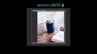 ลบกระถางต้นไม้ 🪴 ภาพโดย StockSnap จาก Pixabay รับแต่งรูป ตัดต่อชุดสูท 24niceimage [upl. by Deborath]