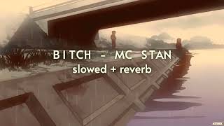 MC STAN  Bitch  slowed  reverb   INSAAN 2022 [upl. by Nnylkcaj]