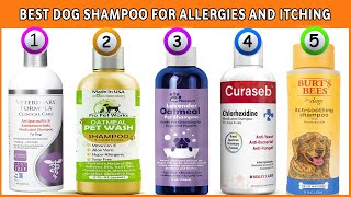 Best Dog Shampoo for Allergies and Itching Dog Shampoos for Itchy Skin Reviews [upl. by Agiaf]