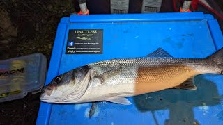 Bass fishing in the Menai Straits [upl. by Ilzel]