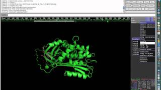 Visualization programs I PyMol Tutorial [upl. by Anihpled]