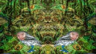 Shpongle  Divine Moments of Truth Animated videoclip TRIPPY [upl. by Sauls]