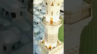 Wo shaher muhabbat foryou ytshorts trending allaahu islamic naat madina viral shorts [upl. by Oirevas]