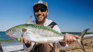 Surf Fishing for Striped Bass and False Albacore  Nantucket MA  S20 E03 [upl. by Venu]