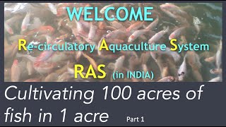 Recirculatory Aquaculture System  Cultivating 100 acres of fish in 1 acre  Telugu  1 [upl. by Esilanna]