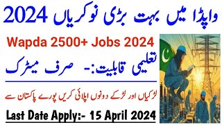 wapda jobs 2024  lineman jobs 2024  today WAPDA jobs 2024  fortjobs [upl. by Lewellen]