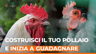 Costruisci il tuo pollaio autosufficiente e inizia a guadagnare [upl. by Nehtanhoj]