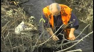 Bottom Edge Mink Trapping with Bob Noonan [upl. by Gothart406]