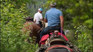 Idaho Horseback Riding idaho horse horsebackriding vowboys summer [upl. by Crow294]