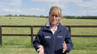 Minette Batters  Skills in Agriculture [upl. by Auqined685]