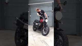 Triumph Scrambler 900 RAW AUDIO  Gorgeous 😍🔥 triumph scrambler [upl. by Nylikcaj]