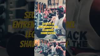 SHAWN RHODEN culturismoclassicoshawnrhodengymroutinegymworkoutfitnessmotivationmrolympiaifbb [upl. by Ragse21]