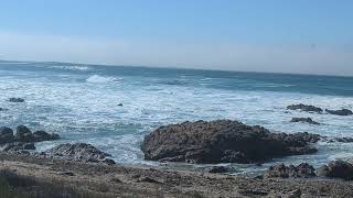 Asilomar State Beach [upl. by Nitaj]