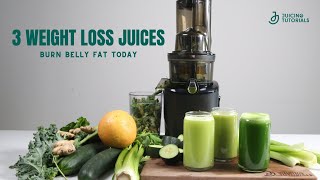 3 Powerful Green Juice Recipes for Weight Loss Detoxification and Fat Burning [upl. by Iral]