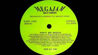 Megajam Records Presents Party Mix Medley Part One [upl. by Maryanne]