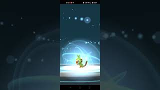 Evolving Grookey  Pokémon Go [upl. by Kerwin]