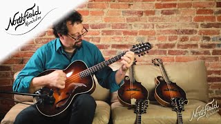 Northfield Archtop Octave Mandolin Mike Marshall Demo [upl. by Jacki]