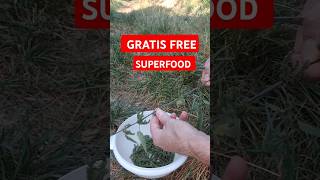 SUPERFOOD GRATIS FREE [upl. by Johnstone]