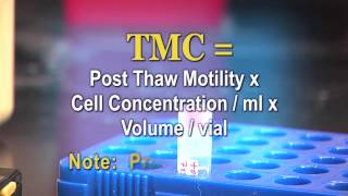 Fairfax Cryobank Thaw Instructions [upl. by Grossman]