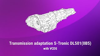 Transmission adaptation STronic DL501 with VCDS [upl. by Halueb]