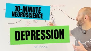 10Minute Neuroscience Depression [upl. by Madeline]