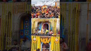 KHUL GYE BABA KEDARNATH KE KAPAT OPENING CEREMONY 10 MAY 2024 7AM shorts youtubeshorts kedarnath [upl. by Worlock]