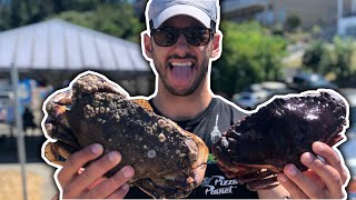 HOW TO Crabbing in Washington State for DUNGENESS CRAB Westport  WA [upl. by Nerro]