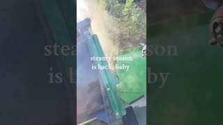 Organics Bin Cleaning in Coquitlam [upl. by Gilbertina]