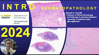 DERMATOPATHOLOGY Introduction to Dermatopathology 2024 [upl. by Anahsor]