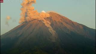 Dec 25 2023 nice pyroclastic flow on Semeru volcano [upl. by Dnalra754]