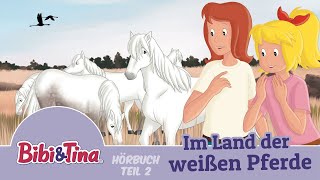 Bibi amp Tina  Im Land der weißen Pferde  1 Stunde Entspannung Teil 2 [upl. by Child866]