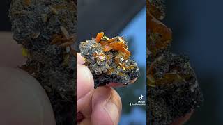 Wulfenite from Xinjiang China crystals mineralogy mineralspecimen [upl. by Marita]