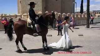 Spanje Cordoba Novia Baila con caballo Bride dancing with horse [upl. by Bondy]