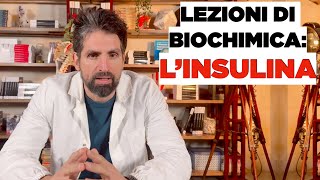 Lezione di biochimica lINSULINA [upl. by Tizes464]