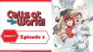 Cells at Work S2 Ep 1 All Cells Assemble [upl. by Tsirhc]