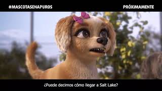 MASCOTAS EN APUROS  Trailer Oficial 2024 [upl. by Onej74]