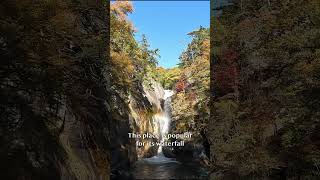 One of the best day hikes near Tokyo Shosenkyo Gorge japan japantravel [upl. by Donahue]