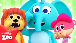 Cabeza Hombros Rodillas y Pies 🐵Canciones Infantiles 🦁 CANCIONES DEL ZOO  El Reino Infantil [upl. by Nihs310]