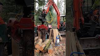 Holz spalten mit HMG Holzspalter und Kubota Bagger [upl. by Carrelli397]