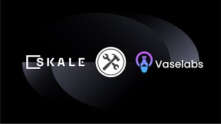 VaseLabs partners with SKALE to elevate the GameFi experience [upl. by Kenzi]