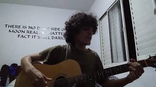 Como o Diabo Gosta  Belchior cover [upl. by Duffy]