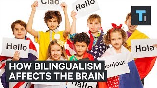 A neuroscientist explains how being bilingual makes your brain more robust [upl. by Erapsag483]