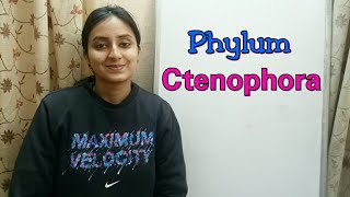 Phylum Ctenophora  Biological classification part 13  Class XI  Lecture 41 [upl. by Elaynad]