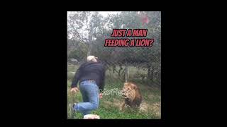 Just a man feeding a lion fyp trollface mrfish [upl. by Licht]