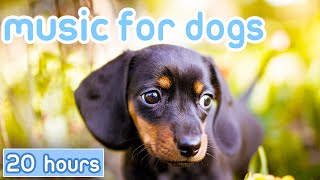 Dog Music 20 HOURS Relaxing Sounds for Dogs with Anxiety [upl. by Tobie]