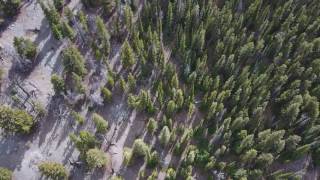 B17 airplane crash site south east of Challis Idaho [upl. by Lemmueu]