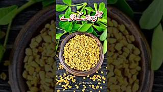 Methi Dana Ke Fayde Health Benefits of eating Fenugreek Seeds methi healthbenefits youtubeshorts [upl. by Liris693]